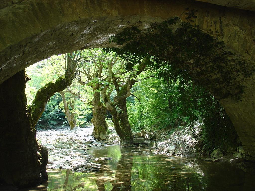 The Lake'S House Κρυονέρι Εξωτερικό φωτογραφία